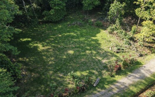 Land for Sale in Puerto Viejo, Limón – Paraíso Forest Private Community