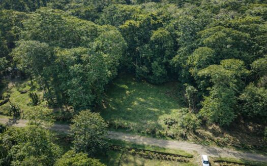 Land for Sale in Puerto Viejo, Limón – Paraíso Forest Private Community